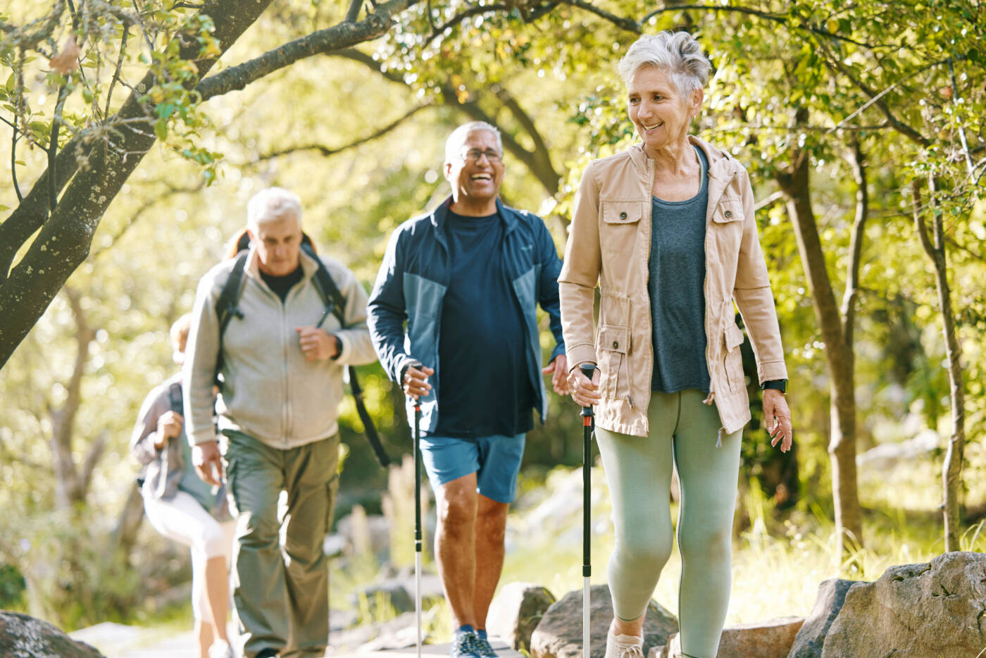 activité physique, balade dans la forêt