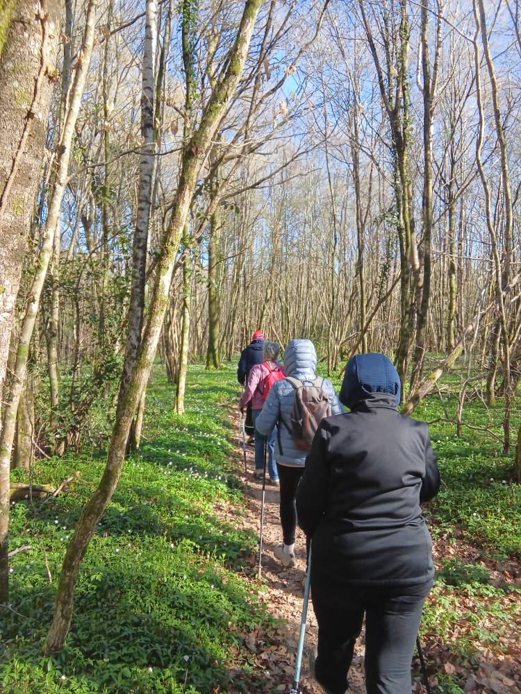 1000086503 - Don Du Souffle